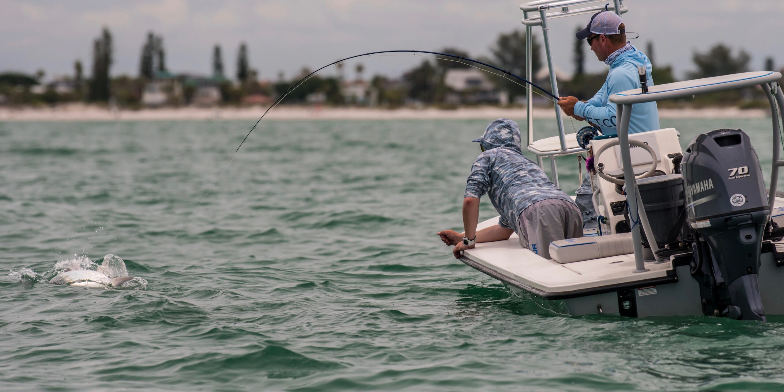 Tampa Fly Guides An Alliance of Fly Fishing Guides in Tampa Bay